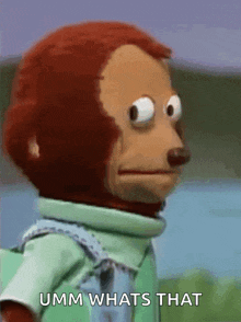 Cartoon monkey puppet in a mint shirt looks sideways in surprise by water, with text UMM WHATS THAT
