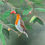 Thumbnail: Untitled By Madhav Mukherjee