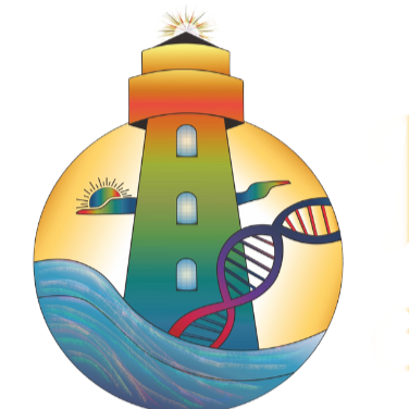 Writer: Lighthouse Team