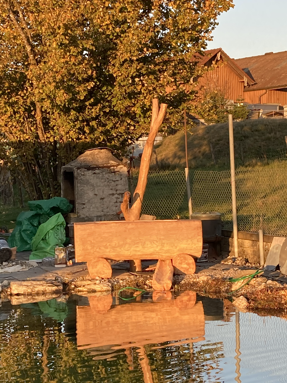 Miniaturbild: Weisstanne und Eiche Brunnen