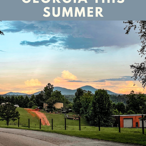 8 Fun Things To Do In North Georgia This Summer
