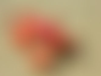 Mercury in Cancer, Your Weekly Forecast 5/25-5/31