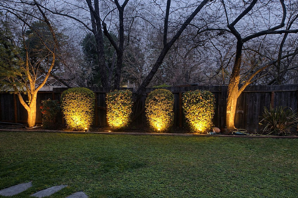 WhatsApp Image 2026-04-07 at 19.13.56