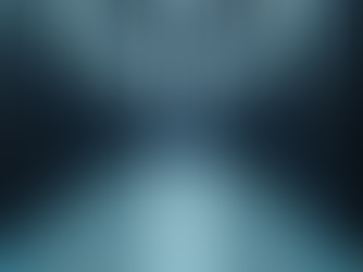 Maximize IT Support: Choose the Right Service Package