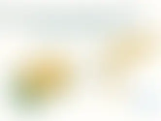 Best Airline Loyalty Programs 2026