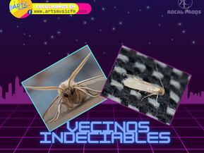 Vecinos indeseables