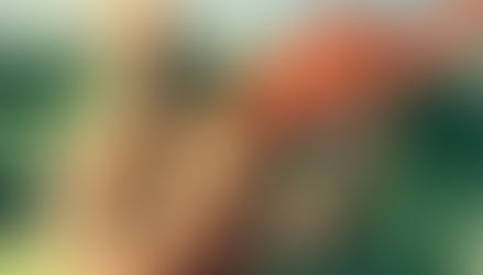 La guerra de la bestia colosal (1958)