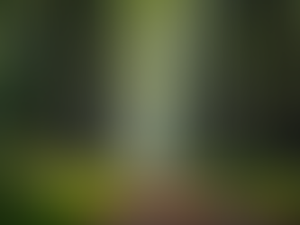 Boost Your Spiritual Self-Care Routine