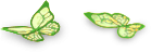 Asas de Fada da Natureza
