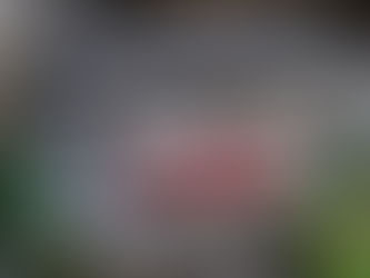 La Gazette de Juillet 2025