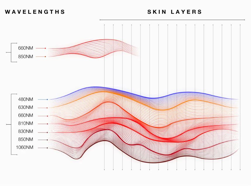 Chart displaying various red and near-infrared light wavelengths (480nm to 1060nm) and their cellular benefits, including skin, muscle, and nerve tissue penetration.