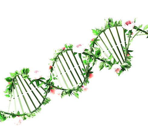 dna.jpg
