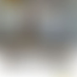 PIS A MANRESA PER 155.000€