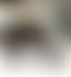 PIS A EL PONT DE VILOMARA PER 170.000€