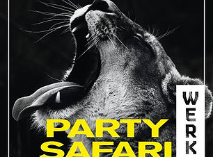 Party%2520Safari%25206_edited_edited.jpg
