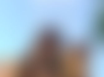 Ein Erfahrungsbericht