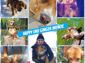 HAPPY END GINGER (MUNOZ)