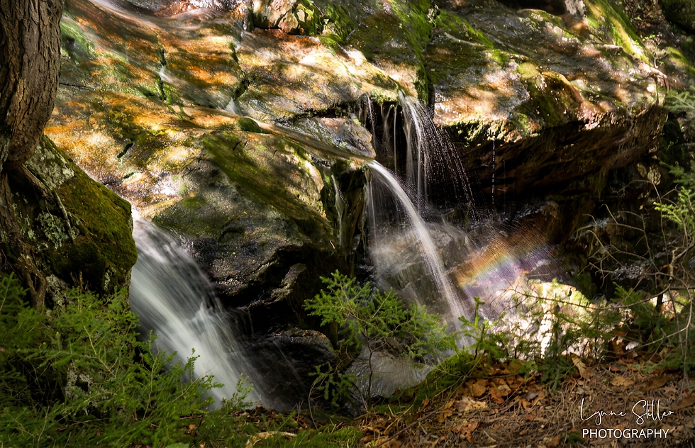 Randolphe Waterfall_WM.jpg