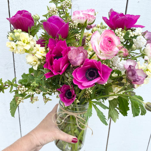 The Hidden Gem of Spring Time- Anemones! 