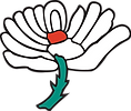 Yorkshire_County_Cricket_Club_logo.svg.png