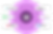distro graphics.png