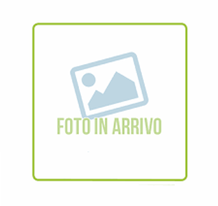 foto_in_arrivo.png