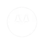 motorola.webp