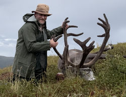 Caribou