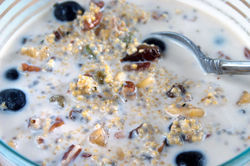 Sprouted Grain Museli