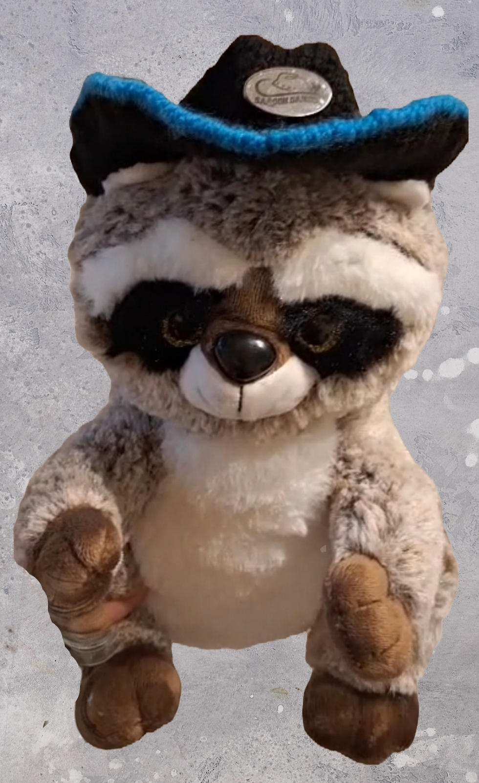 Bandito, das Waschbär-Maskottchen der Saloon Dancer