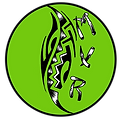 MVR Landscaping Logo Final PNG.png