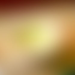 charred tomatillo and avocado salsa verde