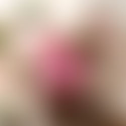 the sorta strawber-rita