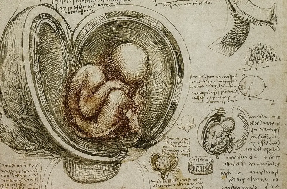 Embryologie - Réflexions sur l'existence