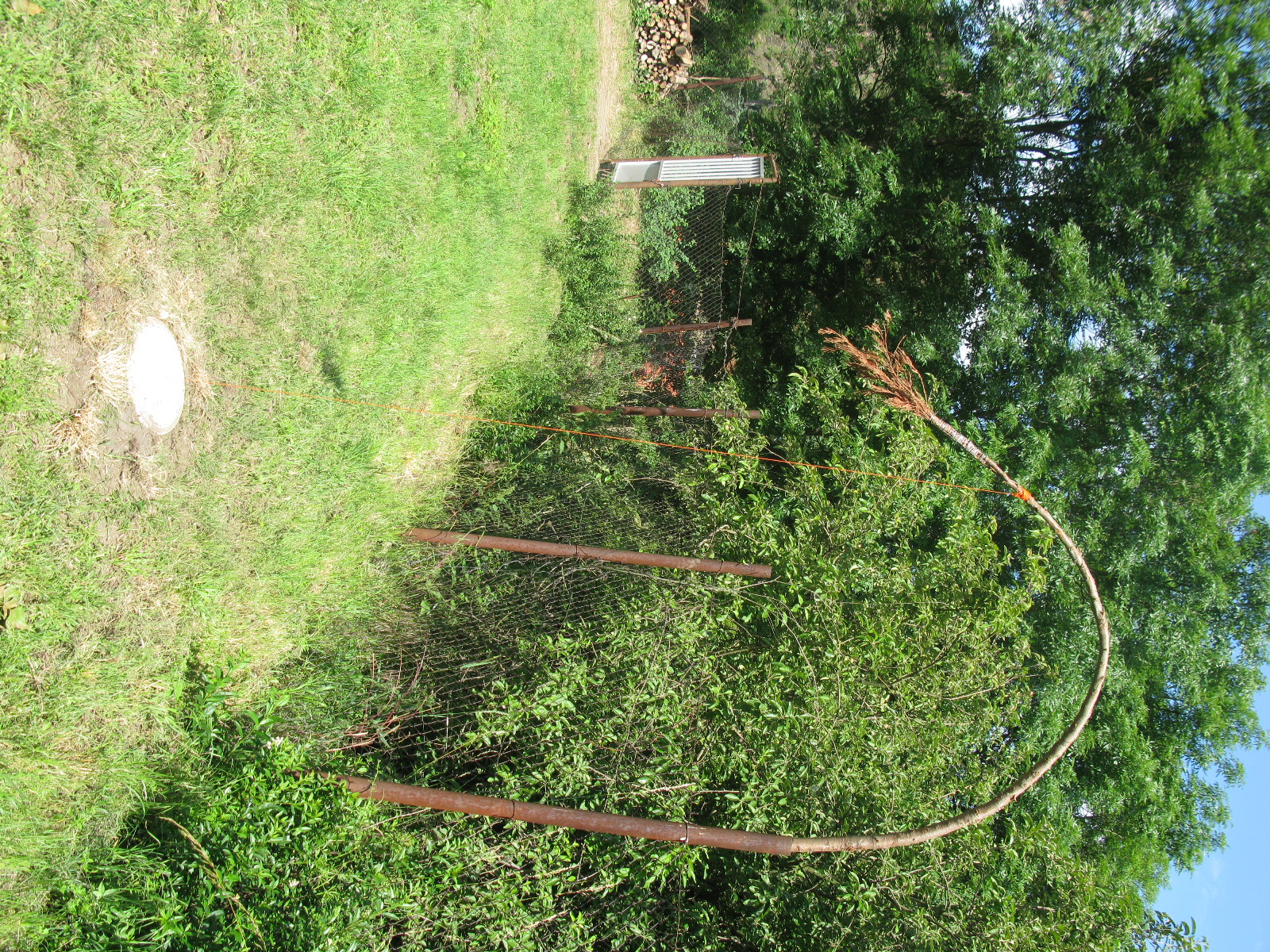 Bubec Garden Earth Bow