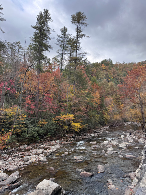A river and fall foliage in Great Smoky Mountains National Park