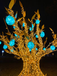 Christmas lights at Light Garden in Olive Branch, MS