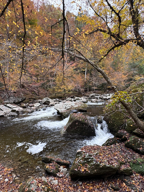 A river and fall foliage in Great Smoky Mountains National Park