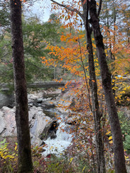 The Sinks in Great Smoky Mountains National Park