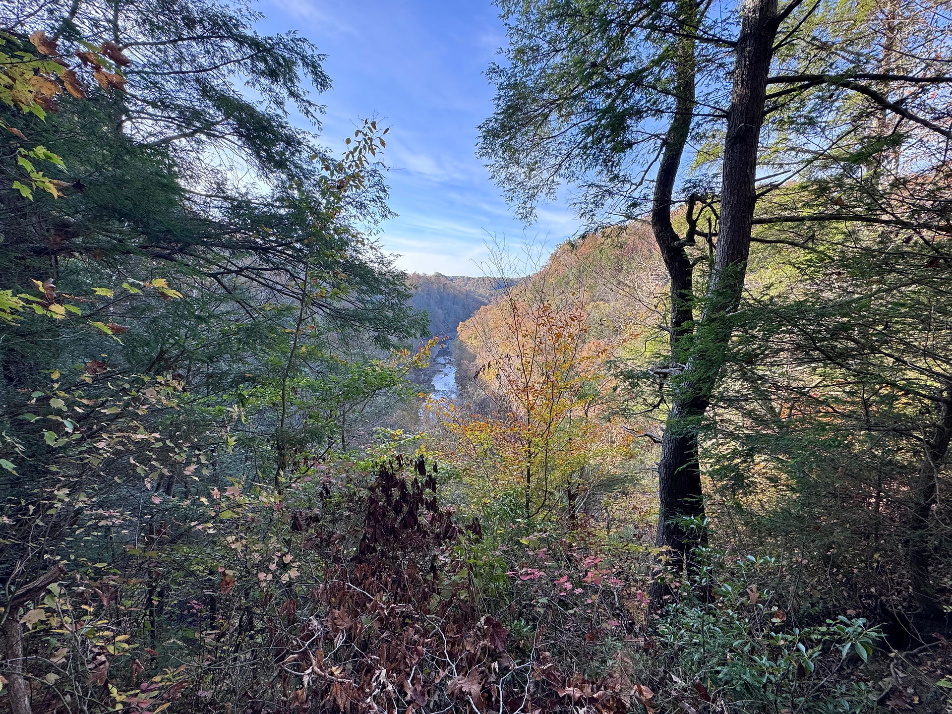 View from a hiking trail