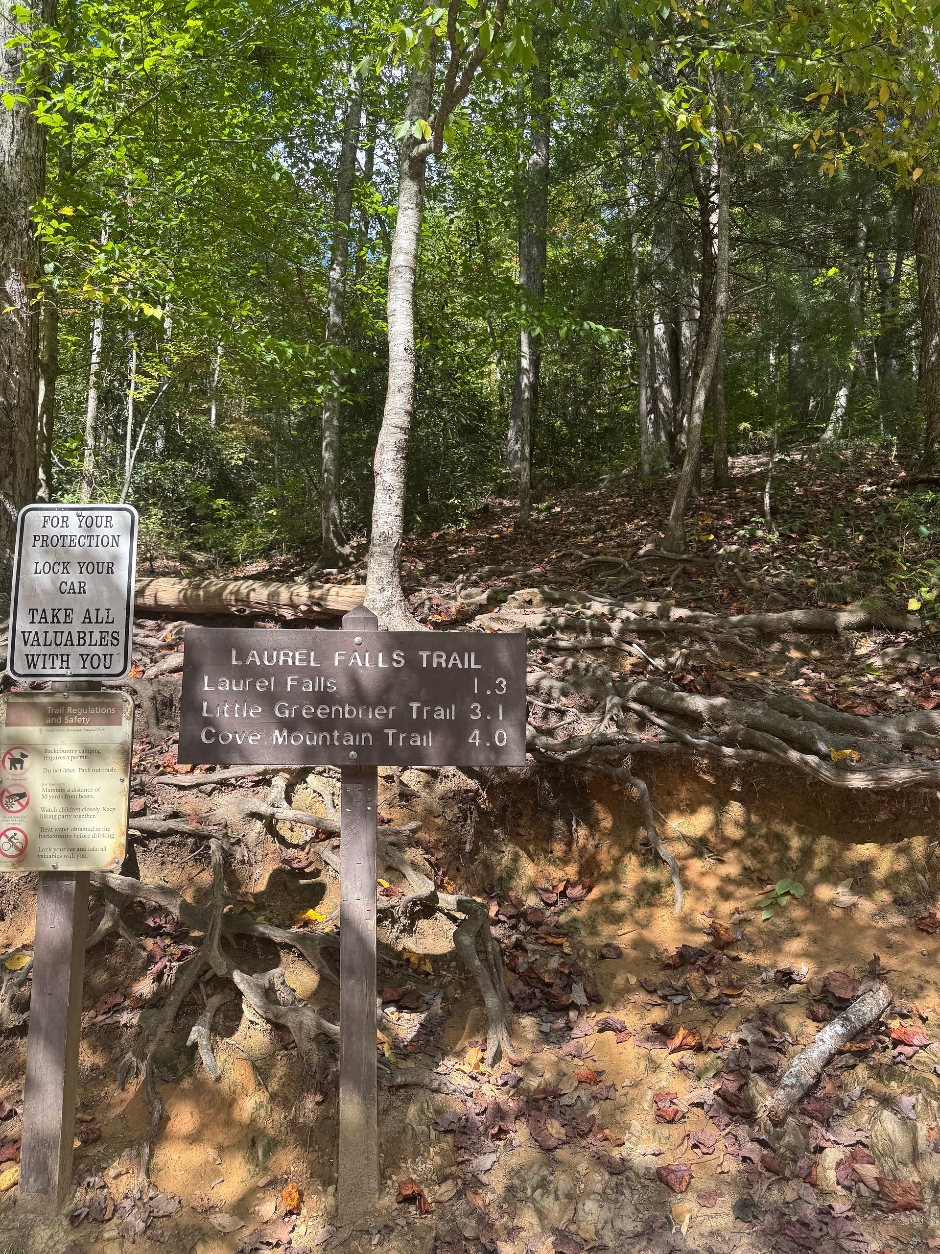 Trailhead for Laurel Falls in Great Smoky Mountains National Park