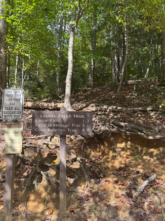 Trailhead for Laurel Falls in Great Smoky Mountains National Park