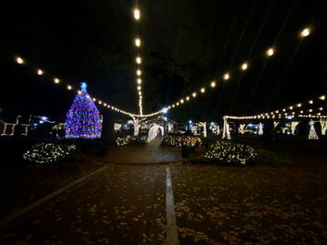Christmas Lights in the Collierville Town Square