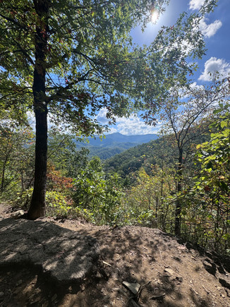 View along a trail in Great Smoky Mountains National Park