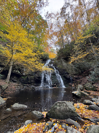Spruce Flats Falls