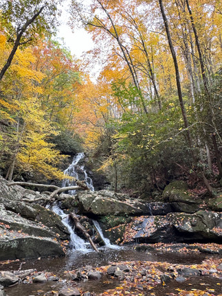 Spruce Flats Falls