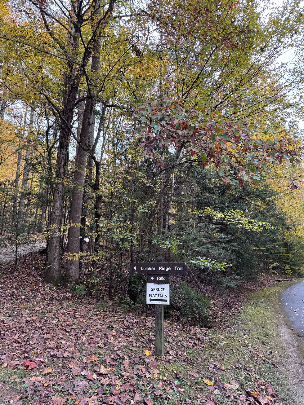 The beginning of a trail in Great Smoky Mountains National Park