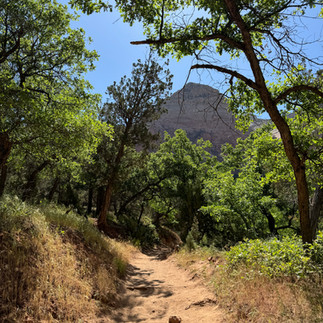 View from Sand Bench Loop in Zion National Park
