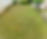Lawn & Grounds Maintenance 2