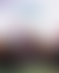 The Columbusite's 2025 Race Day Guide to Steeplechase